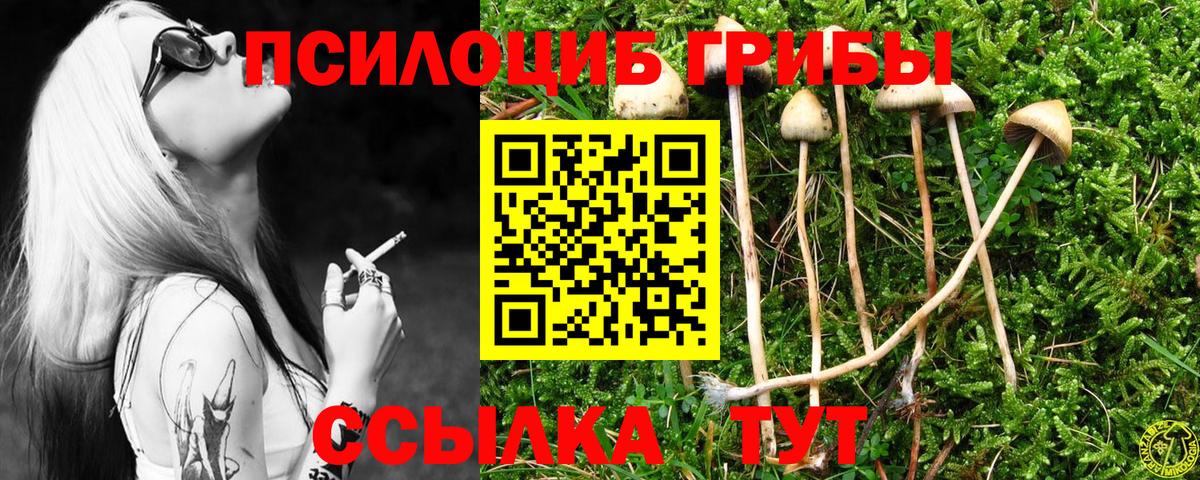 наркотики  Вход с VPN  Пенза  Галлюциногенные грибы Psilocybine cubensis 