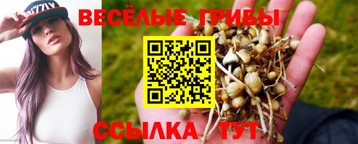 Галлюциногенные грибы MAGIC MUSHROOMS Пенза
